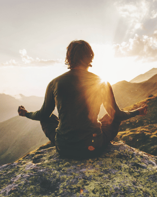 Курсы и практики